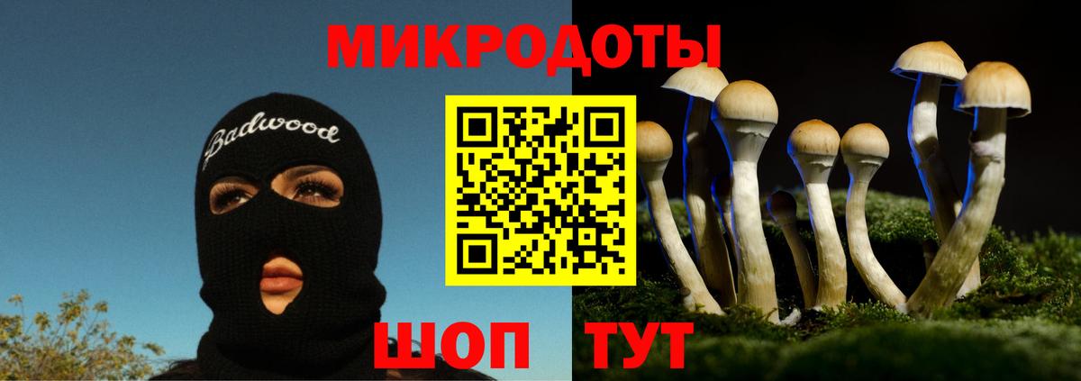 Галлюциногенные грибы GOLDEN TEACHER Дубна